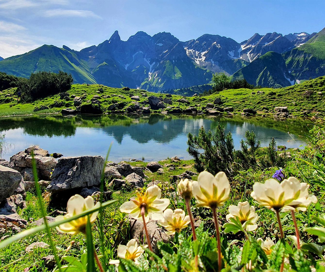 Allgäuer Alpen im Sommer